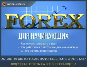 Форекс для начинающих; пошаговая инструкция как начать торговать на Forex 5 золотых правил для начинающего трейдера